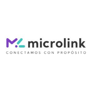 Logo Cliente App Zone Web - Microlink